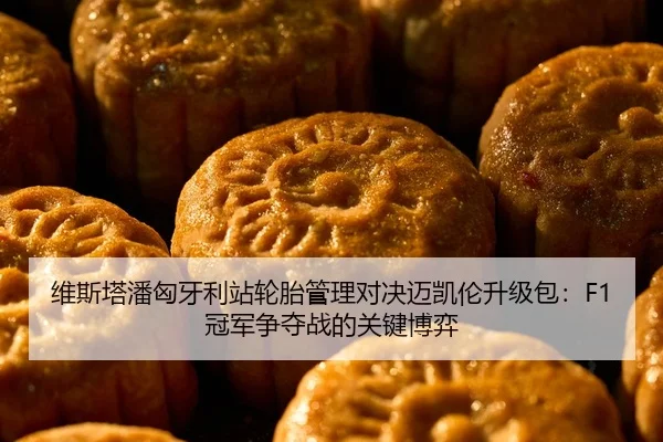 维斯塔潘匈牙利站轮胎管理对决迈凯伦升级包：F1冠军争夺战的关键博弈
