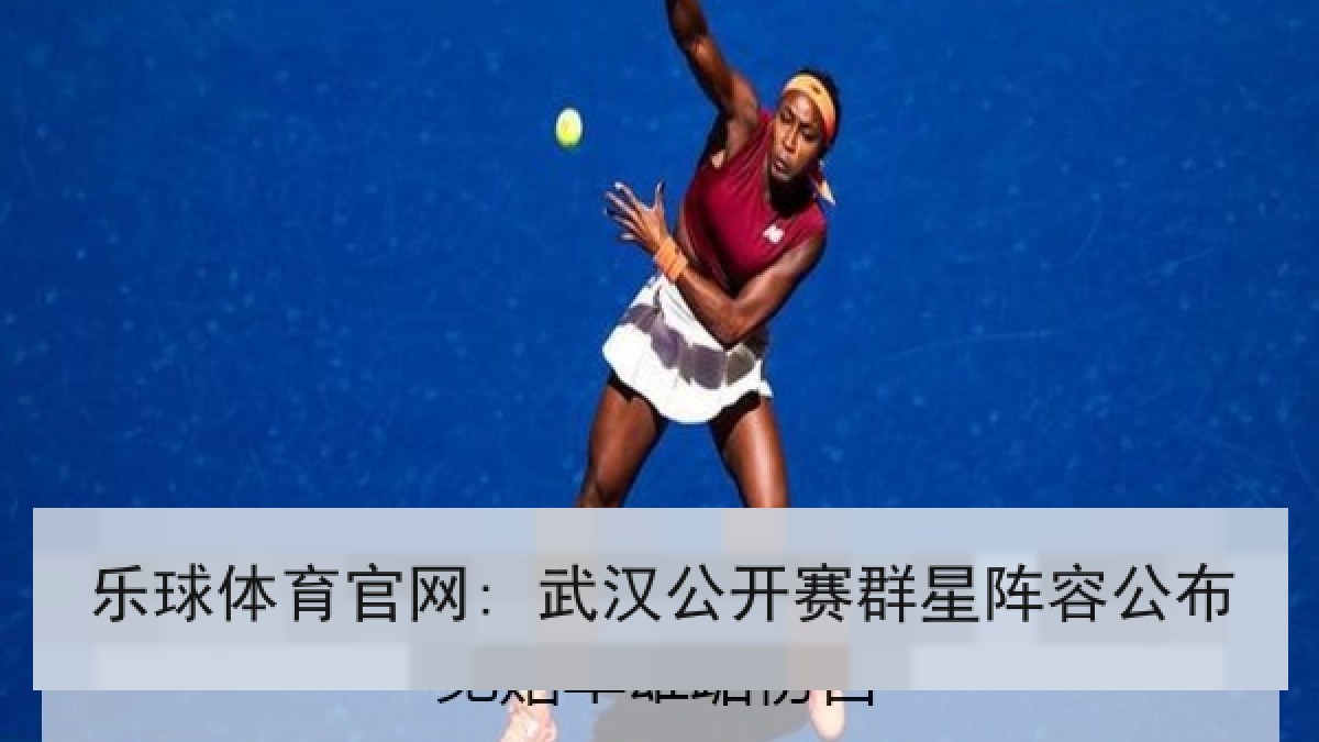 乐球体育官网: 武汉公开赛群星阵容公布